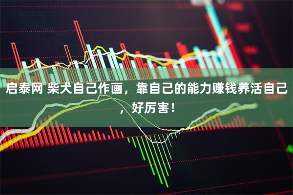 启泰网 柴犬自己作画，靠自己的能力赚钱养活自己，好厉害！