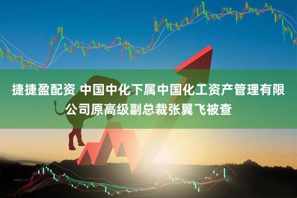 捷捷盈配资 中国中化下属中国化工资产管理有限公司原高级副总裁张翼飞被查