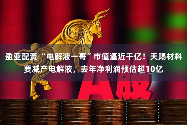 盈亚配资 “电解液一哥”市值逼近千亿！天赐材料要减产电解液，去年净利润预估超10亿